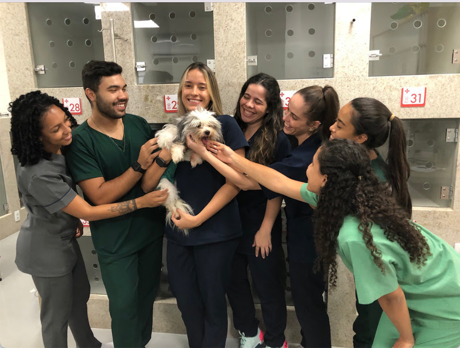 Banhos e Tosa - Clínica Veterinária Espaço Animal 24h