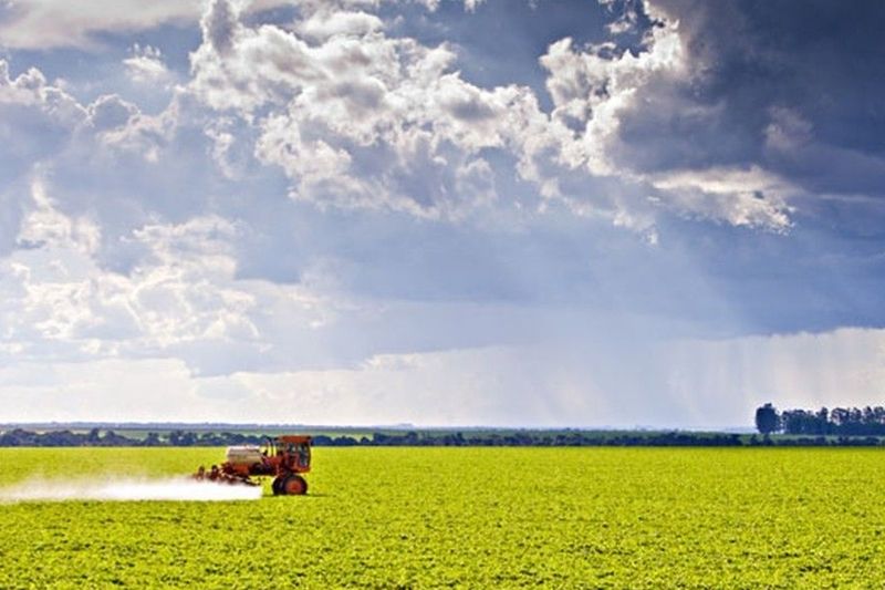 Para deputado, o bloqueio compromete um dos principais instrumentos de proteção dos produtores rurais contra perdas causadas por eventos climáticos extremos — Foto RRRufinoEmbrapa